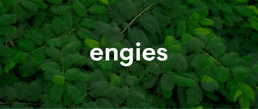 ENGIES: Let's save energy! Together towards smarter energy